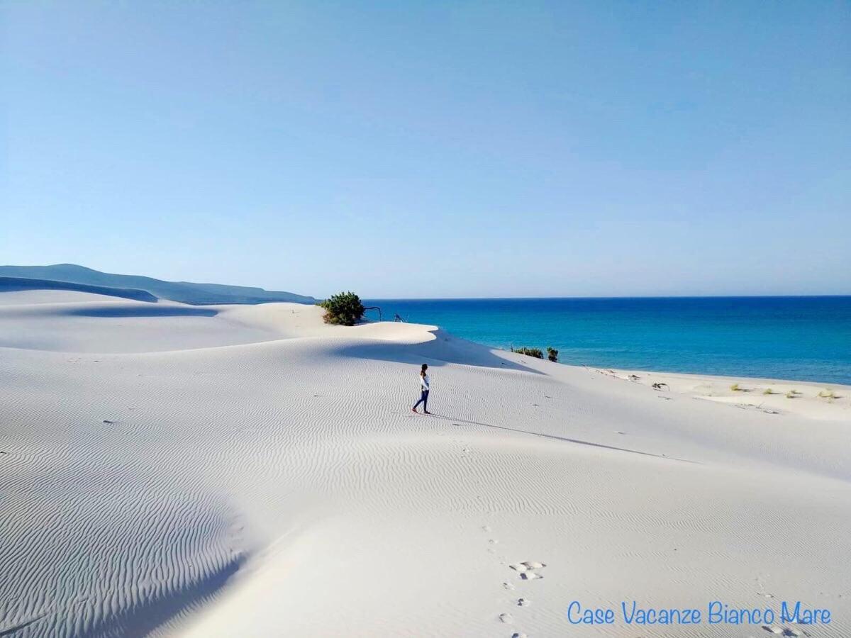 Case Vacanze "Bianco Mare" 皮诺港 外观 照片